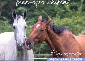 Assises du bien-être animal au Parc Équestre Fédéral