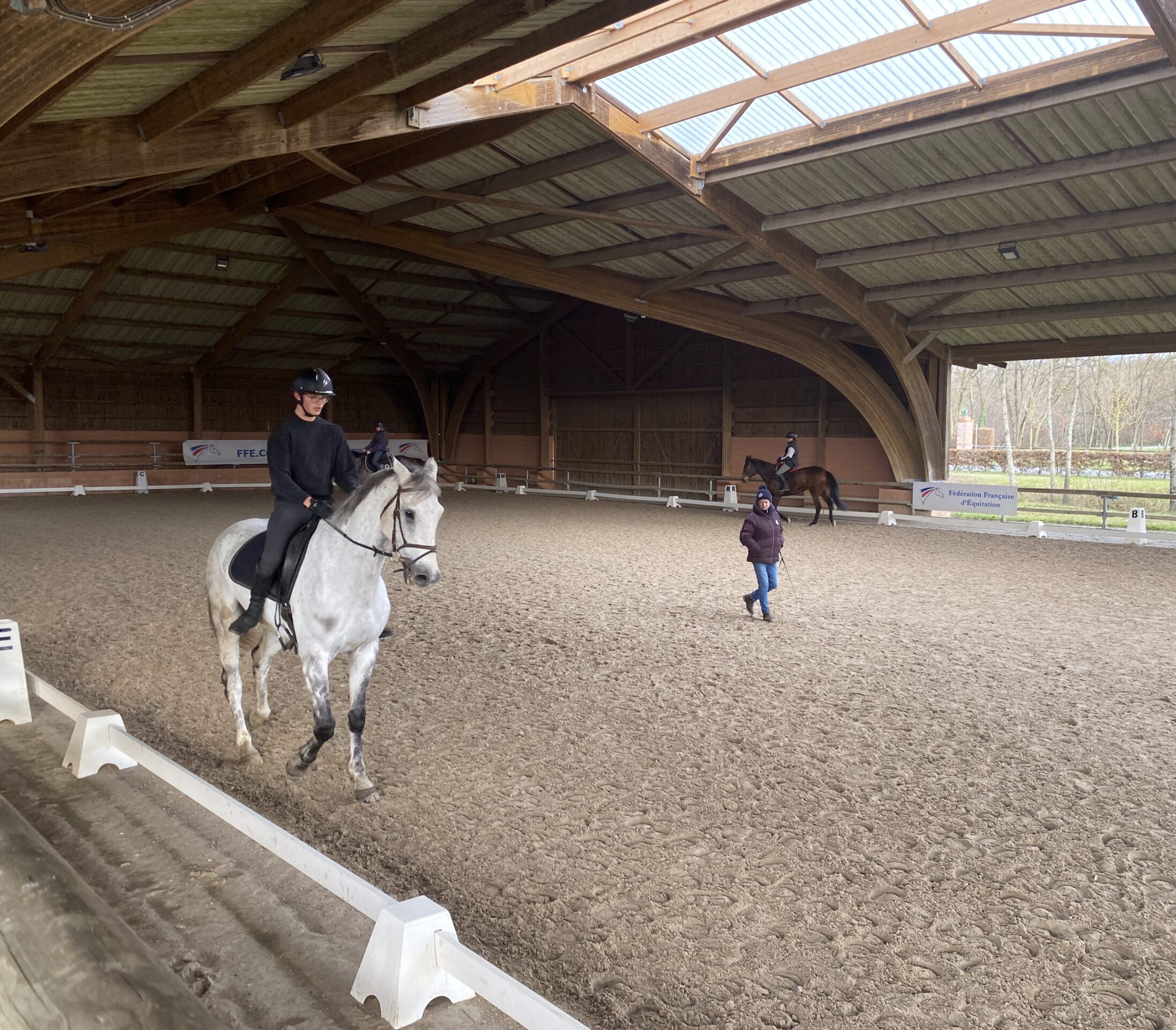 Formation AE en dressage